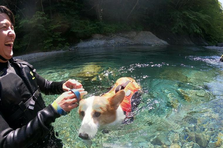 愛犬とリバーウォーク！暑い夏に楽しめる川遊びの魅力を紹介
